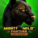 Mighty Wild Panther