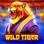 Wild Tiger